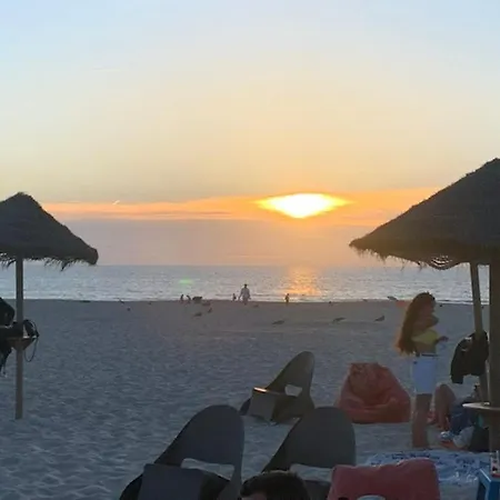 Casa de Férias O Cantinho Da Ria - Jacuzzi With Water At 35 Degrees And Pool *