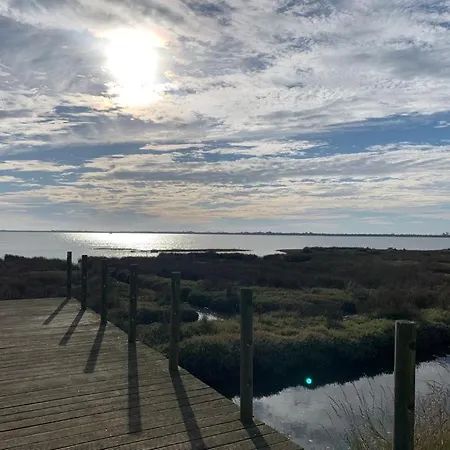 Casa de Férias O Cantinho Da Ria - Jacuzzi With Water At 35 Degrees And Pool *