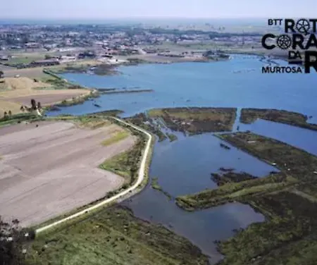 O Cantinho Da Ria - Jacuzzi With Water At 35 Degrees And Pool * Torreira