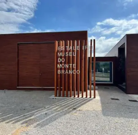 Casa de Férias O Cantinho Da Ria - Jacuzzi With Water At 35 Degrees And Pool