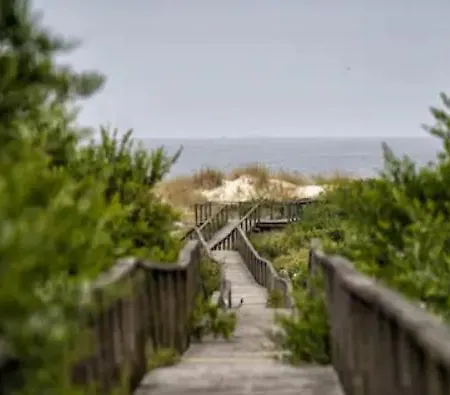 別荘 O Cantinho Da Ria - Jacuzzi With Water At 35 Degrees And Pool トレイラ