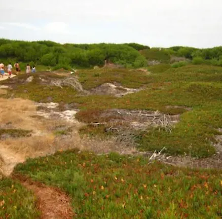 O Cantinho Da Ria - Jacuzzi With Water At 35 Degrees And Pool Torreira