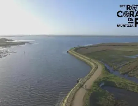 O Cantinho Da Ria - Jacuzzi With Water At 35 Degrees And Pool 別荘 *