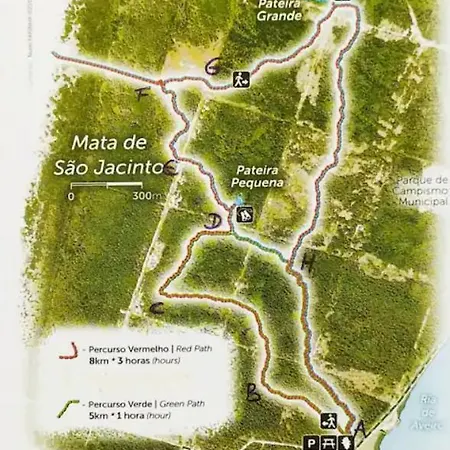 O Cantinho Da Ria - Jacuzzi With Water At 35 Degrees And Pool * توهيريه