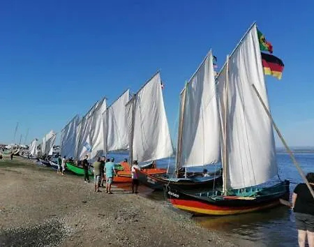 Casa de Férias O Cantinho Da Ria - Jacuzzi With Water At 35 Degrees And Pool *
