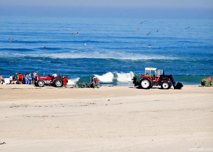 O Cantinho Da Ria - Jacuzzi With Water At 35 Degrees And Pool Σπίτι διακοπών *
