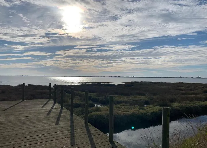 Casa vacanze O Cantinho Da Ria - Jacuzzi With Water At 35 Degrees And Pool *