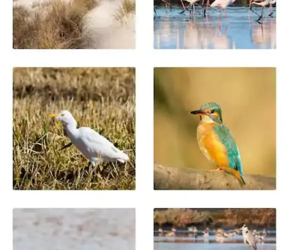 O Cantinho Da Ria - Jacuzzi With Water At 35 Degrees And Pool
