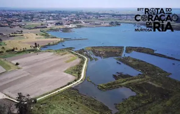 O Cantinho Da Ria - Jacuzzi With Water At 35 Degrees And Pool * Torreira