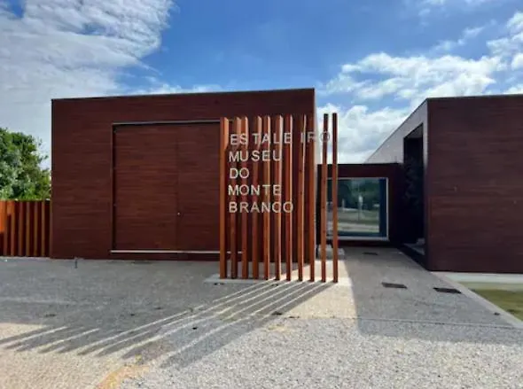 Σπίτι διακοπών O Cantinho Da Ria - Jacuzzi With Water At 35 Degrees And Pool