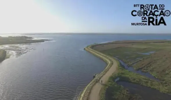 O Cantinho Da Ria - Jacuzzi With Water At 35 Degrees And Pool Σπίτι διακοπών *