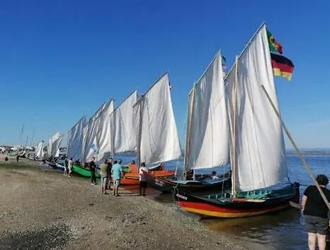 Σπίτι διακοπών O Cantinho Da Ria - Jacuzzi With Water At 35 Degrees And Pool *